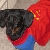 Oliver