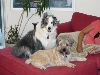 Echo & her boyfriend Scout