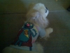 my birthday shirt from my mom
