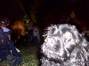 tad enjoying the Forest Park Balloon Glow