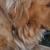 Sampson