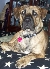 Buster