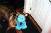 Hailey with Bday present on her 1st bday 