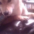 Mister Man (Max)