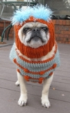 Emmitt in his new hat and pug sweater.

http://pugnotes.blogspot.com/2009/11/emmitts-new-hat.html

november 2009