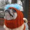 Emmitt in his new hat and pug sweater.

http://pugnotes.blogspot.com/2009/11/emmitts-new-hat.html

november 2009