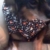 Daphne
