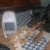 Oh boy...Mind you dog and cat playing is a lot easier on the house than two dogs!!