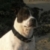 Bailey