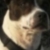 Bailey