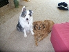 Me and my Foster Brother Truman
