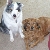 Me and my Foster Brother Truman