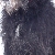 Fred