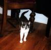 Baby Tuck