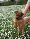 Leo is precious