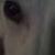 Cleo