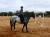 Cheval