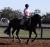 Giant Fatty Mare