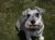 Peppermint Patti (Dec 1999-May 2008 R.I.P)