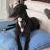 Gemma (Race name: Iveston Gemma)