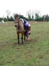 Haha x