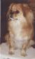 MrSnuggles