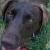 Roxy
