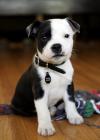 Check out our little man