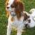 Sir Charleston (Charlee) Benton Bruce