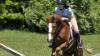 Fred on a hunter/pace pace.