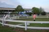 Free Lunging