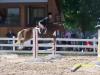 Skitt Jumping