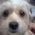 cindy