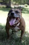 That's a Happy Little Man