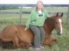 Pony Club Camp