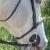 Finnigan