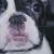 Otis Brown