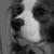 Anderson Nethercliff Butters III
