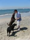 thanks for bringing me to the beach!
