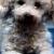 Teddy B. Nix,  June 20, 1997 -  July 24, 2007