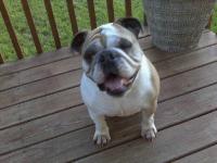 Ellie Mae