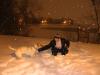 Cooper in the snow