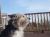 Maddie