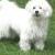 Hershey