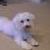 Roxy Kokjohn