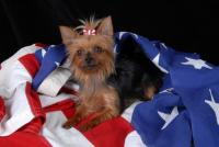 "Gidget"