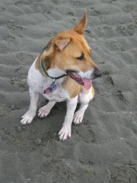 Molly