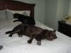 what a life....!