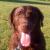Tucker