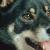 Snickers, CGC